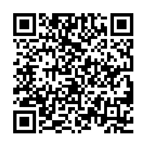 但他同时又旗帜鲜明地表达了对本届柏林电影节评审团的肯定二维码生成