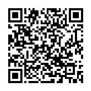 但他眼前却似乎出现了数十位帝尊境强者悍不畏死二维码生成
