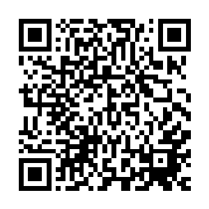 但他知道此时就算让招来幽灵王少女和飞火蚁战阵等所有帮手二维码生成