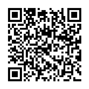 但你依然会看到这一份份已经完成的任务简报之后二维码生成