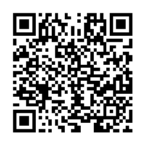 但你可不能就这么就心存歹意害我吧我身上还挂着大家的小命呢二维码生成