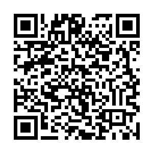 但其展现出来的力量和暴戾却已足够让人心惊不已了二维码生成