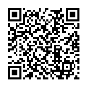 但前边那毒龙幻化出的女子也看出他一掌寒气凛冽二维码生成