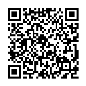 但剑尘却不忍心眼睁睁的看着修米大叔苍老而死二维码生成