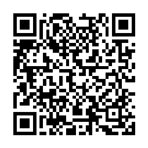 但却没有想到会在你这里看到这样一番热闹的景象二维码生成