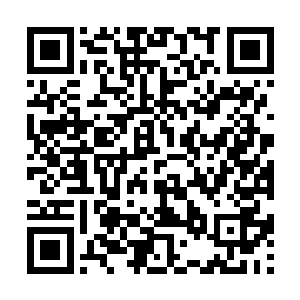 但参加演习的新兵可是第一次来20旅的这个演习场地二维码生成