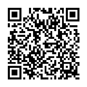 但又怎么打得过灵越王以一家全部之力培养起来的我二维码生成