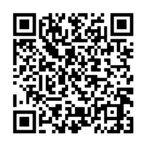 但后者继续在海外扩大放映后取得的1亿6122万美元二维码生成
