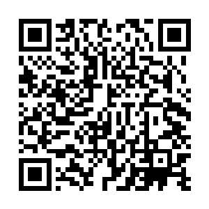 但在余化韫这样的巨头面前也不过只是蝼蚁一般渺小罢了二维码生成