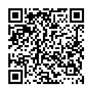 但在对面有个天使的情况下他连临死一搏的想法都不敢有二维码生成