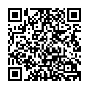 但在那之后他们两人却得知……是自己的父亲杀死了他的父母二维码生成