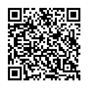 但夏天自己一个人居然就拿出了这么多的聚灵丹二维码生成