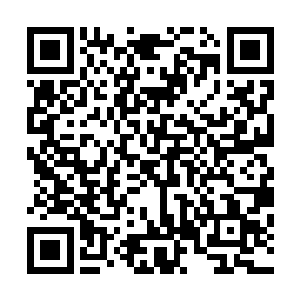 但如果不加入演员工会又很难得到一份报酬较高的表演合同二维码生成