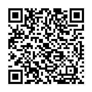 但如果你做出什么傻事的话那么你的人生就真的输了二维码生成
