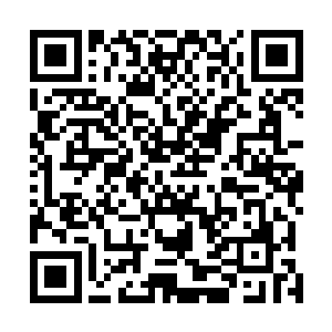 但对于圣帝境界的王和狼康利斯来说根本就没有距离可言二维码生成