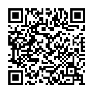 但对方的一举一动当中都带了绝大的威严与自信二维码生成