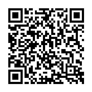 但小礼服已经有品牌是直接送来款式让她选穿了二维码生成