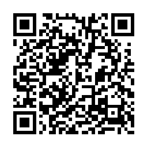 但就像你们之前也同样在学习适应这个社会一样二维码生成