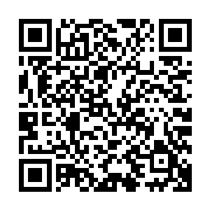 但就在赵半仙一步步走向那尸气和鬼气交融的空间之中的时候二维码生成