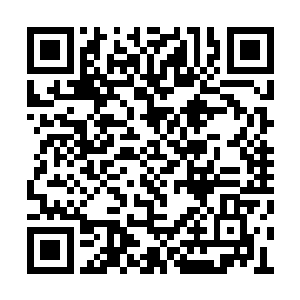 但属下听说他之前翻看了十六卫主将的军功账册二维码生成