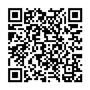 但廖辽还是控制不住地隔上两三天就要跑过来一趟二维码生成