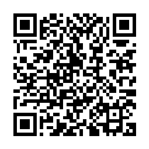 但当这个阵痛带来的冲击可能会影响到整个社会局面的稳定时二维码生成