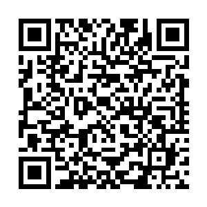 但待他看清拍卖者只是一楼普通会员区的一个年轻人二维码生成