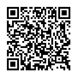 但意识海里出现的景象并不是闭眼就能看不见的二维码生成