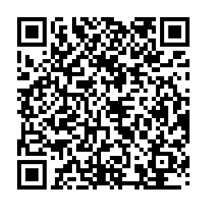 但我们宗主老大已经有了十二……呃……你们再看什么……嘿嘿……别装了二维码生成