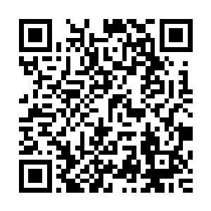 但我认为这种必须要借助比如水的外力才能展现其美丽的物种二维码生成