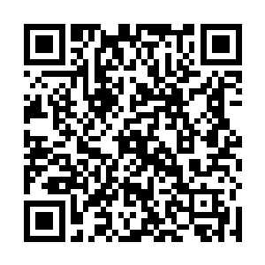 但把预言解释成一种基于既有现实的逻辑推理我却懂了二维码生成