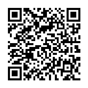 但指中蕴含的紫气已经随着劲气蔓入了九灵尊者的胸口血肉二维码生成