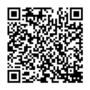 但新的沙棘树的果实和树叶的灵气值含量比起原生的沙棘来已经提高了300%以上二维码生成