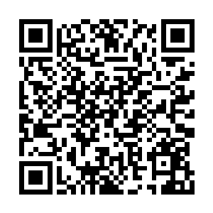 但星之大陆扬言要挑战仙魔两块大陆的所有天才二维码生成