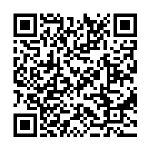 但是··我不想让他们忘记我是来自鸭堡的唐老鸭二维码生成