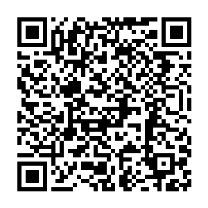 但是……但是眼前这家伙竟然在短短一个时辰之内竟然大致的学会了二维码生成