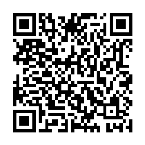 但是……如今自己的家都被那些暴走族用汽油弹袭击二维码生成