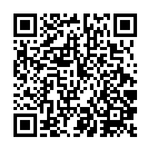 但是……至少我知道跟着他不用担心会被抛弃和出卖二维码生成