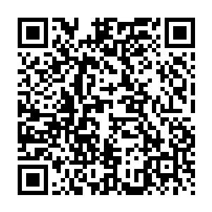 但是一个肯在关键时候挺身出来保护龙家人又敢跟着龙战独自离开部落二维码生成