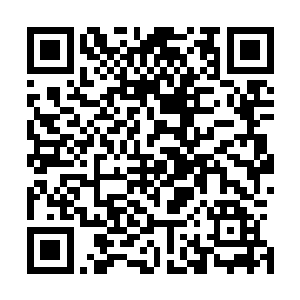 但是一路跟随南宫流云从迦南森林里出来的老管家岂会不知二维码生成