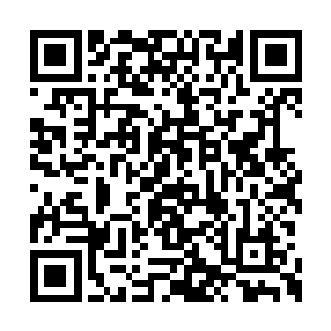 但是不可能会是能与我们用语言交流的冰麒麟的二维码生成