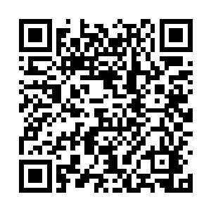 但是中途我从来没有跟海本仙人有过深层次的沟通二维码生成