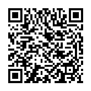 但是也掩饰不住夏儿从心里散发出来的阴郁情绪二维码生成