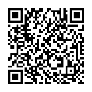 但是也犯不上在这样的时候跟自己来这样的小花招二维码生成