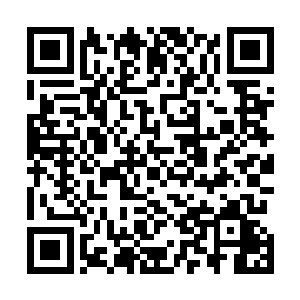 但是人类就是希望在某些危险的时候做出许多危险的事情二维码生成