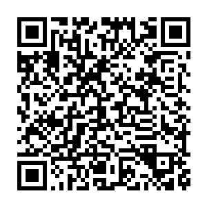 但是从他第一时间过来接他们就可以看得出来这家伙的性格外冷内热二维码生成