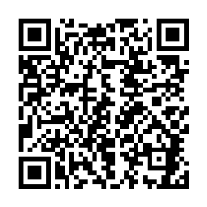 但是从没有过一次系统要求要在任务世界中找什么任务物品二维码生成
