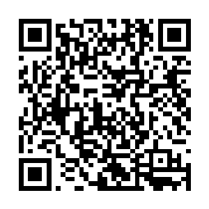 但是从这周围的蕴藏澎湃灵力的灰蒙蒙的东西来看二维码生成