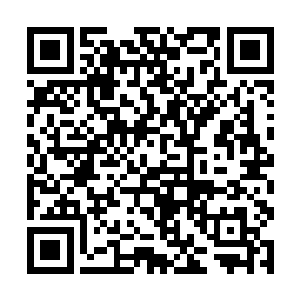 但是他从来没有觉得自己是为了复兴南十字兵团而活二维码生成
