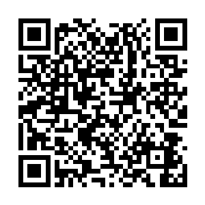 但是他们两个往往都能够在最关键的时刻发挥作用二维码生成